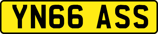 YN66ASS