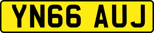 YN66AUJ