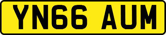 YN66AUM
