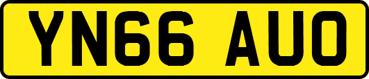 YN66AUO