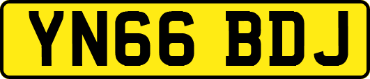 YN66BDJ