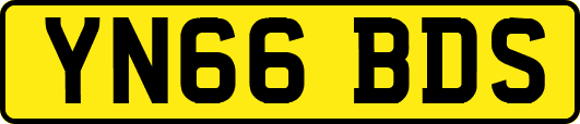 YN66BDS