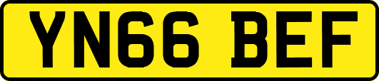 YN66BEF