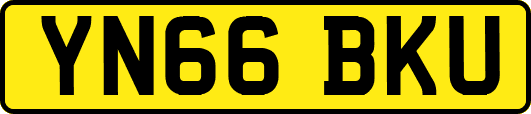 YN66BKU