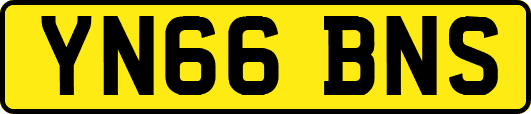 YN66BNS