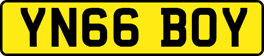 YN66BOY