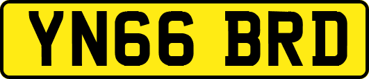 YN66BRD