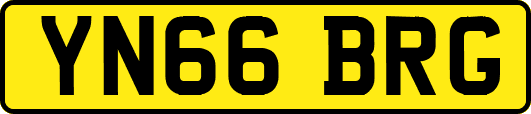 YN66BRG