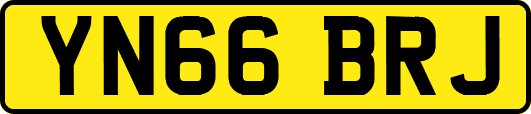 YN66BRJ