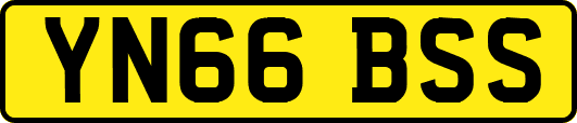 YN66BSS