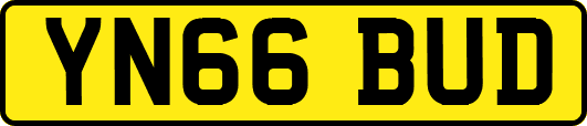 YN66BUD