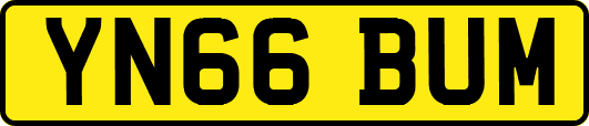 YN66BUM