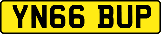 YN66BUP