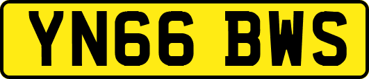YN66BWS