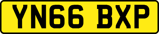 YN66BXP