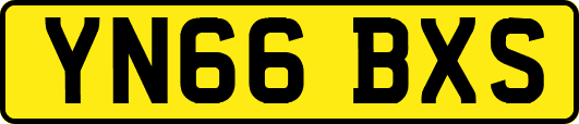 YN66BXS