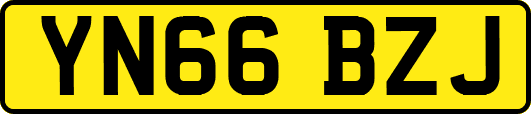 YN66BZJ