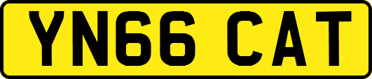 YN66CAT