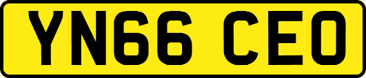YN66CEO