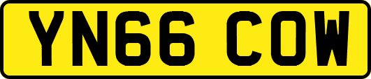YN66COW