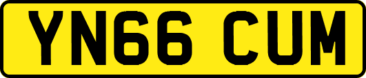YN66CUM