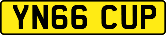 YN66CUP