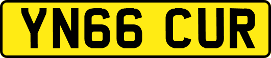 YN66CUR