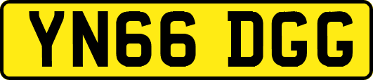 YN66DGG
