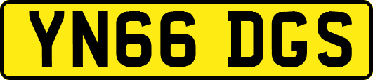 YN66DGS