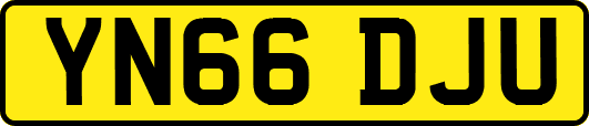 YN66DJU