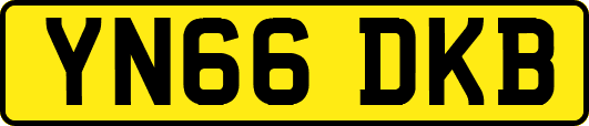 YN66DKB