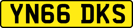 YN66DKS