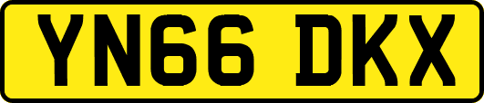 YN66DKX