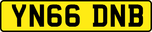 YN66DNB