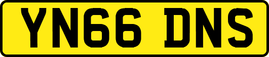YN66DNS
