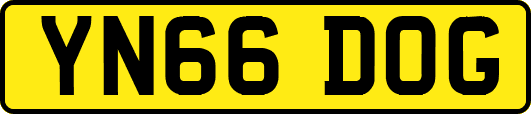 YN66DOG