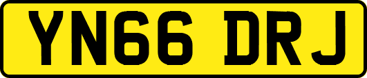 YN66DRJ