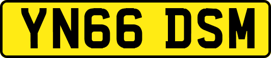 YN66DSM