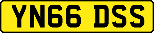 YN66DSS