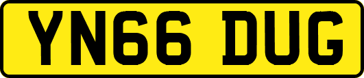 YN66DUG