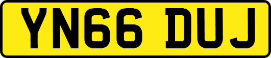 YN66DUJ