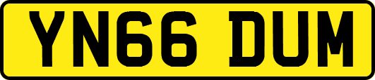 YN66DUM