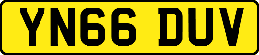 YN66DUV