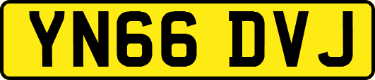 YN66DVJ