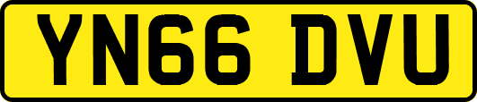 YN66DVU