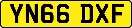 YN66DXF