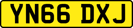YN66DXJ