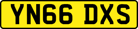 YN66DXS