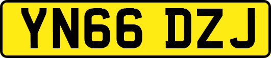 YN66DZJ