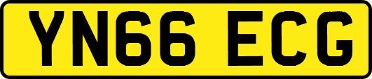 YN66ECG